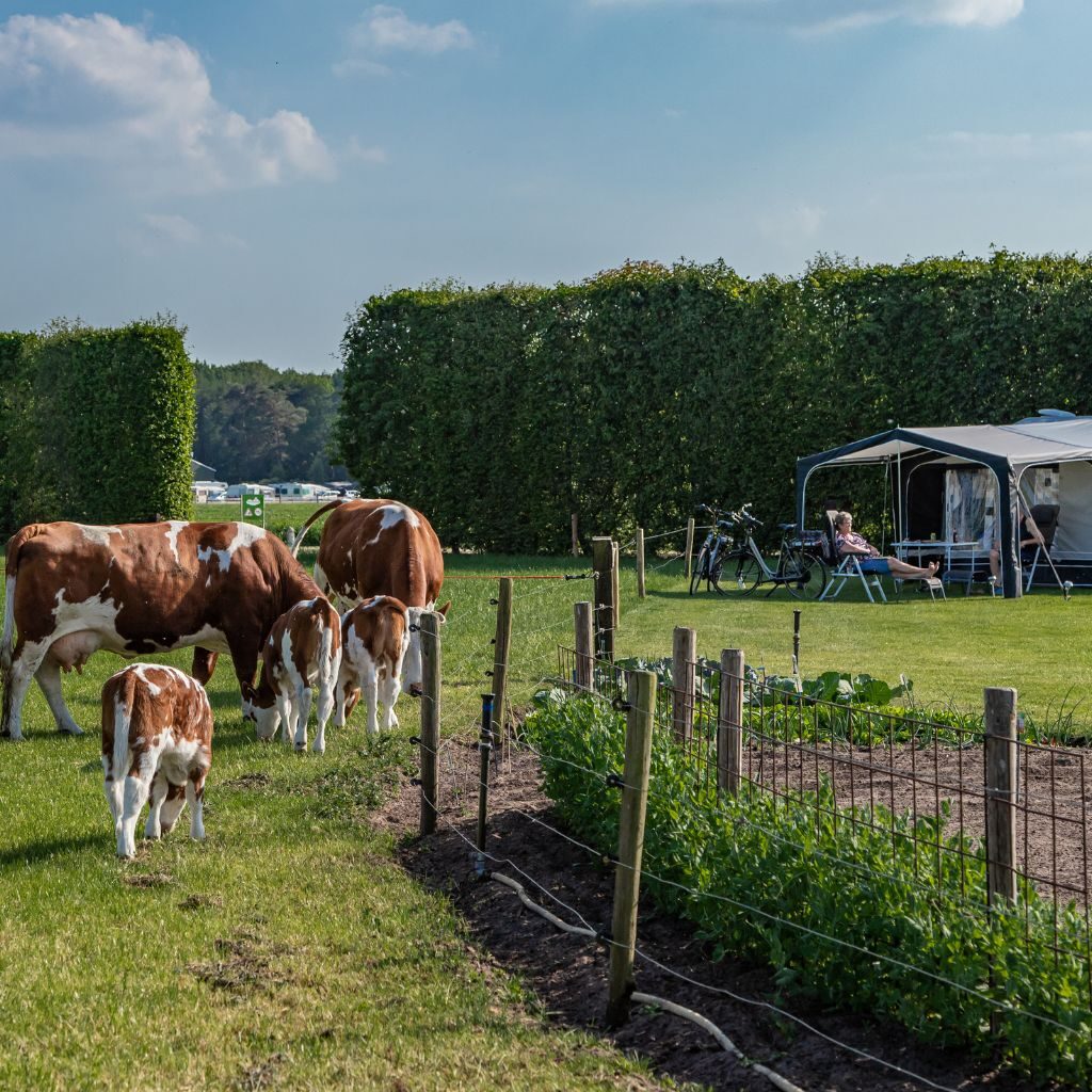 Win een week gratis kamperen bij SVR