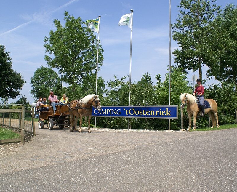 Camping t Oostenriek