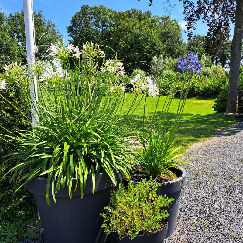 Kleine Camping 't Eikenbos - Gelderland - Open Camping Dag