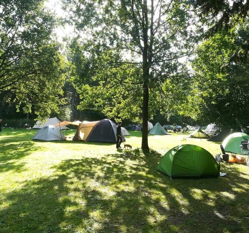 Natuurcamping De Altena