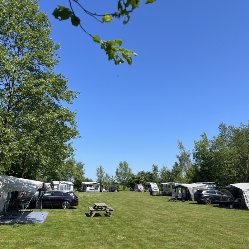 Minicamping Weideland