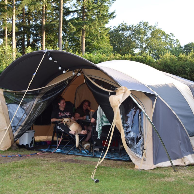 Camping Hoeve aan den Weg - Drenthe - Open Camping Dag
