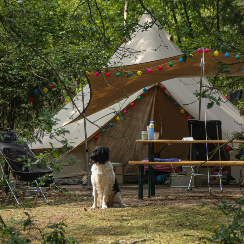 Landgoedcamping Het Meuleman - Overijssel - Open Camping Dag