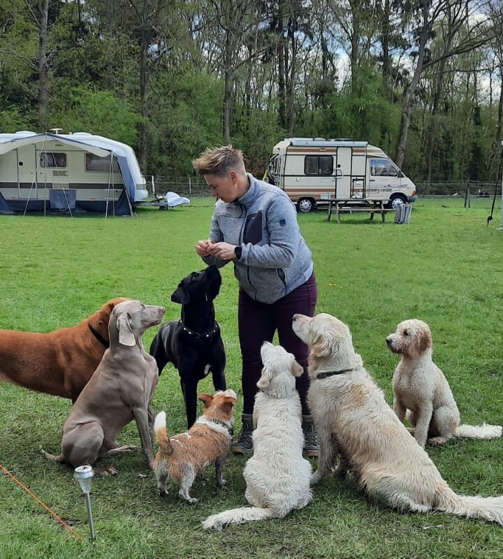 Hondencamping Evensterk - Drenthe - Open Camping Dag