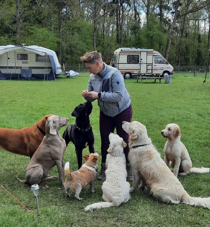 Hondencamping Evensterk - Drenthe - Open Camping Dag