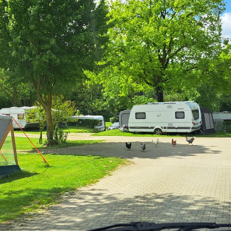 Camping De Bosrand (Limburg) - Open Camping Dag