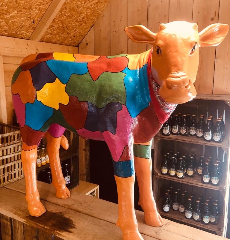 Hoeve Sonneclaer - Drenthe - Open Camping Dag