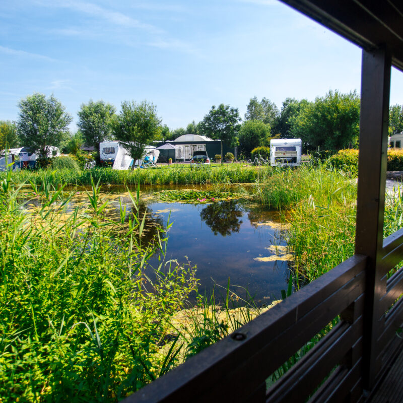 Camping Polderflora - Zuid-Holland - Open Camping Dag