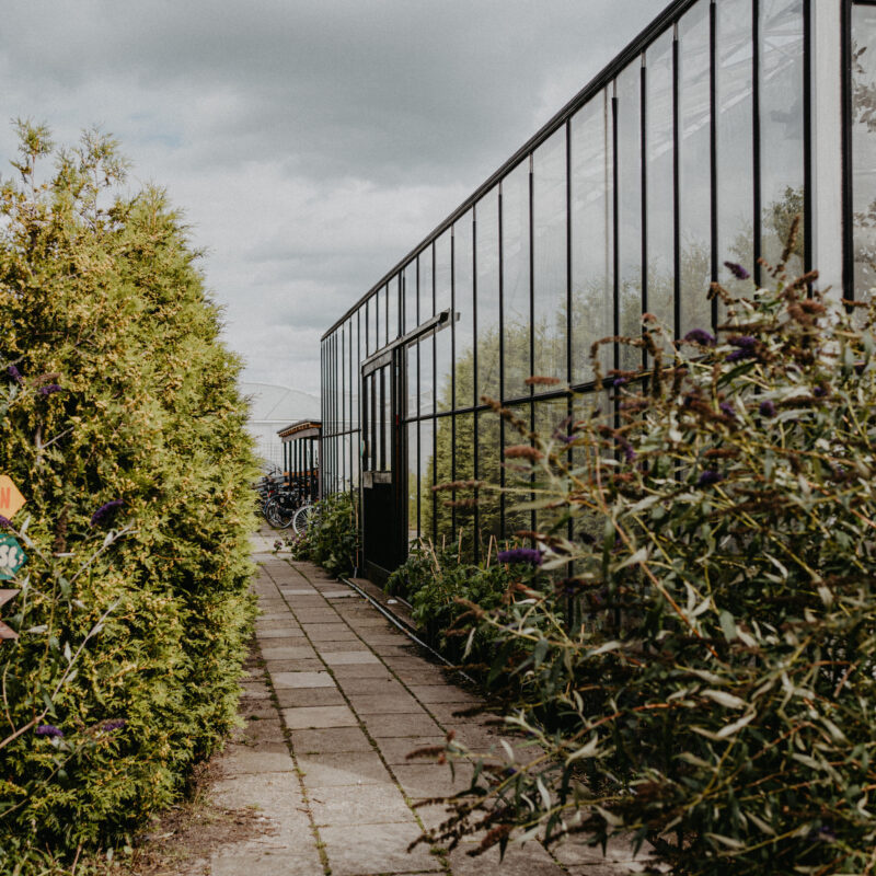 Tuin van Epicurus - Zuid-Holland - Open Camping Dag