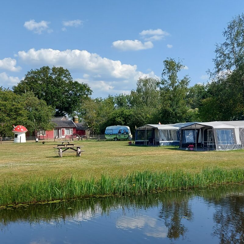 ’t Loozerveld