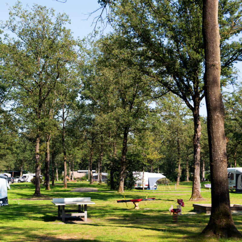 Park Drentheland