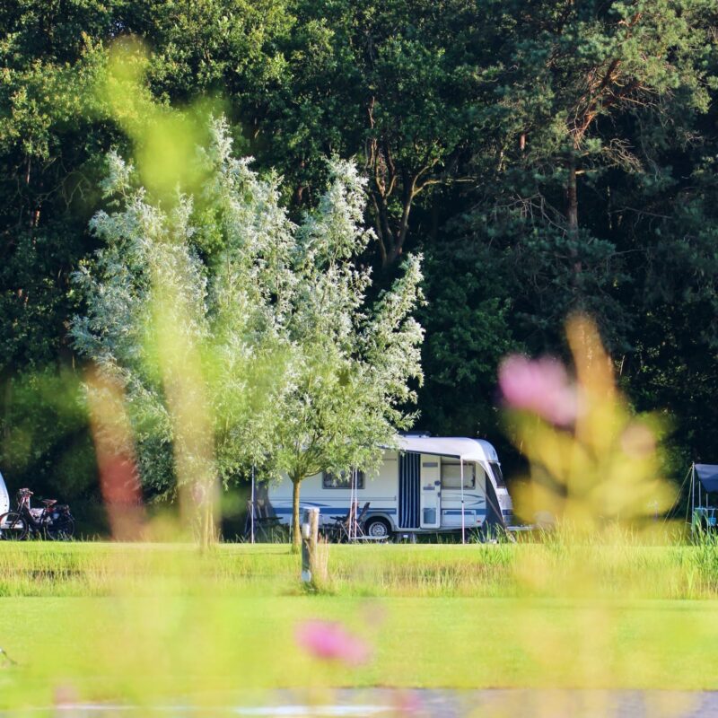 De Gerrithoeve - Noord-Brabant - Open Camping Dag