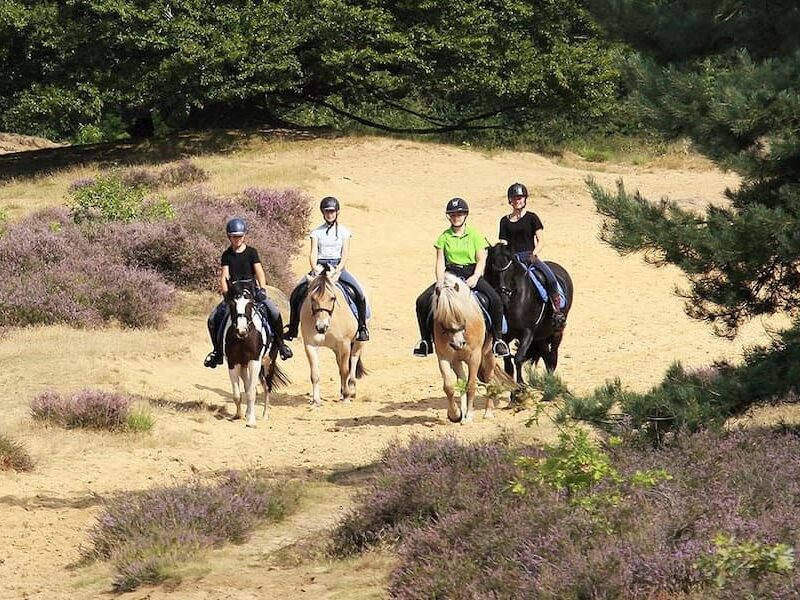 Camping de Vledders - Drenthe - Open Camping Dag