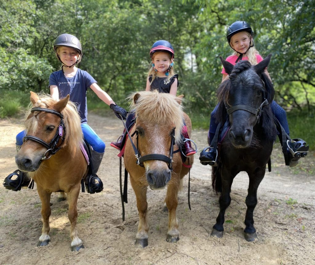 Camping de Vledders - Drenthe - Open Camping Dag