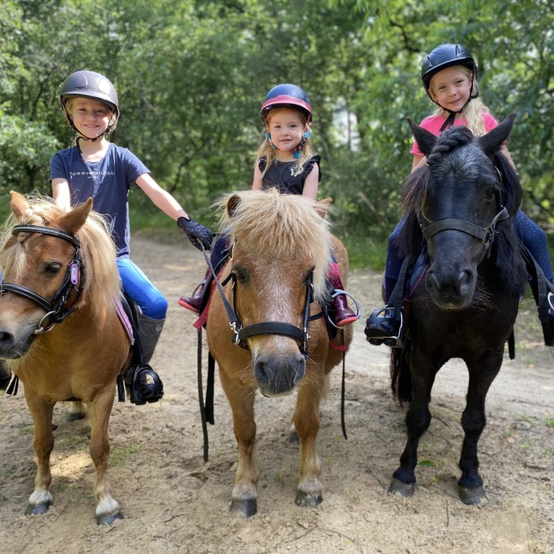 Camping de Vledders - Drenthe - Open Camping Dag
