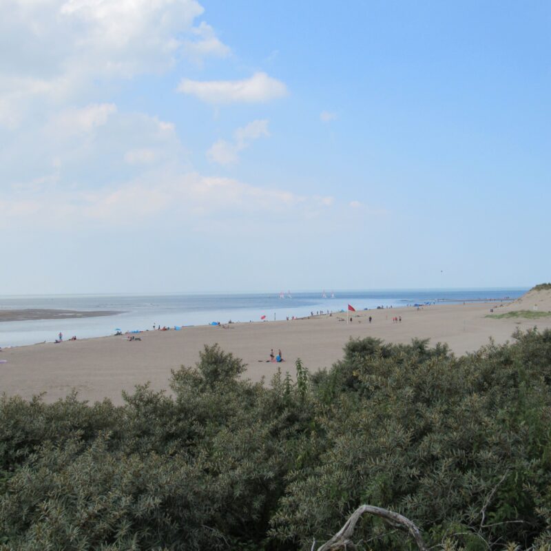 Strandcamping de Zwinhoeve - Zeeland - Open Camping Dag