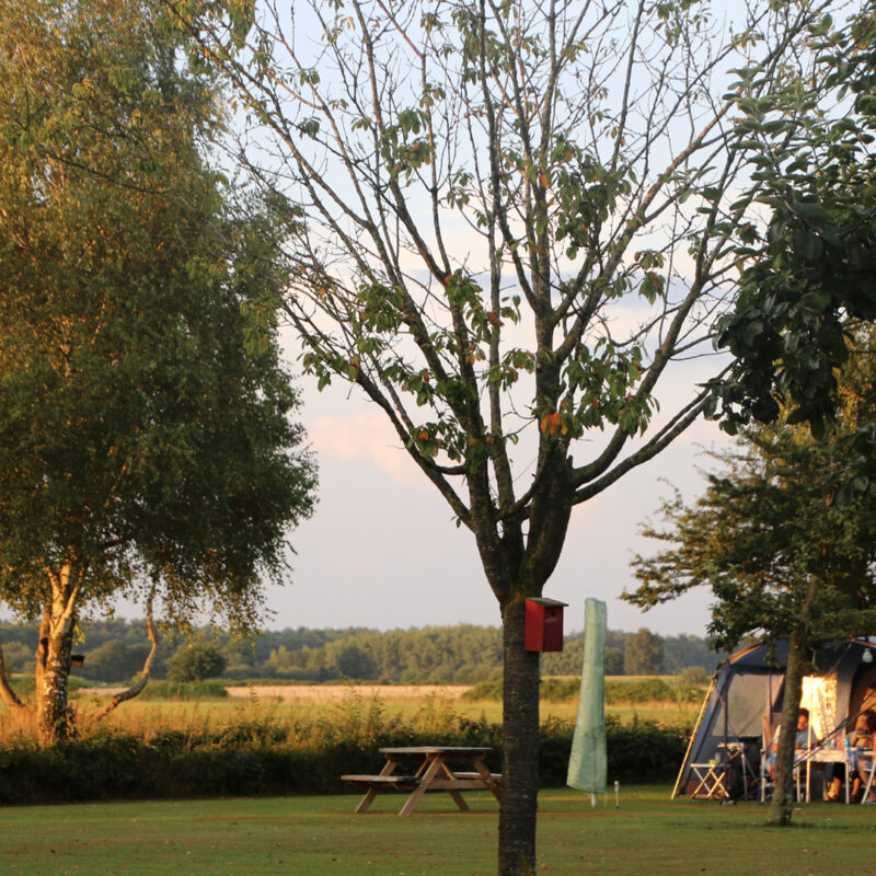 Camping Weideblik