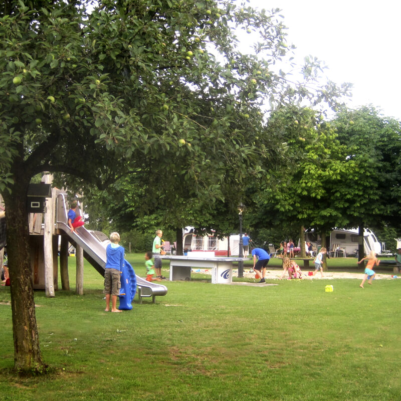 Camping Weideblik - Noord-Brabant - Open Camping Dag
