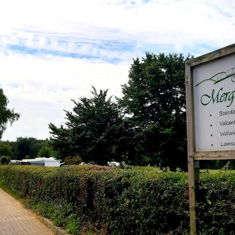 Schaapskooi Mergelland - Limburg - Open Camping Dag