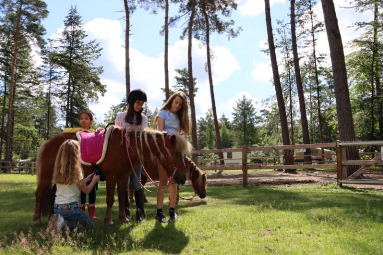 Ommerland - Overijssel - Open Camping Dag