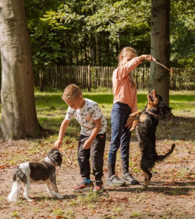 Ommerland hondencamping