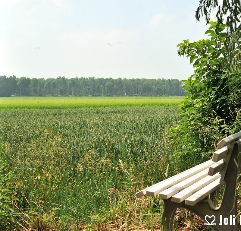 Buitengoed Het Achterdiep - Groningen - Open Camping Dag