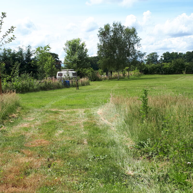 Mini-camping Hoeve Boord Ven - Noord-Brabant - Open Camping Dag