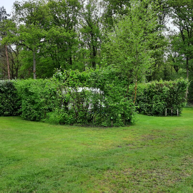 Camping de Moat - Overijssel - Open Camping Dag