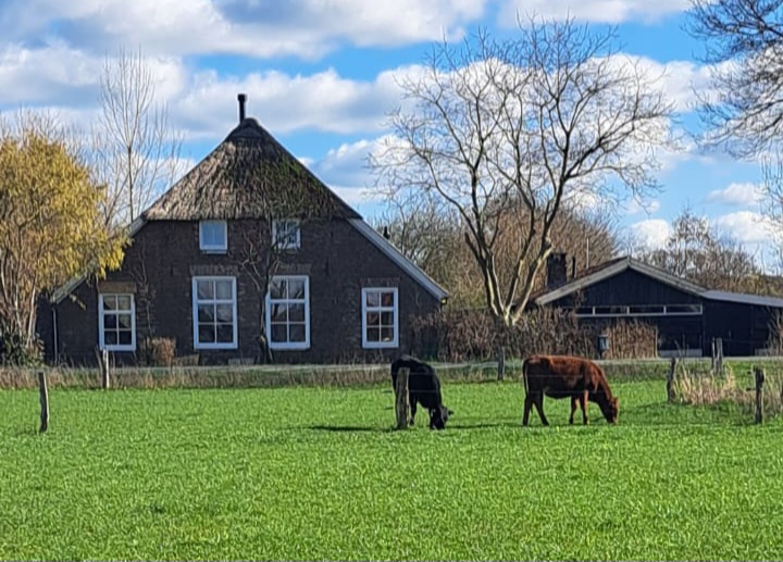 Boerencamping Remmelink