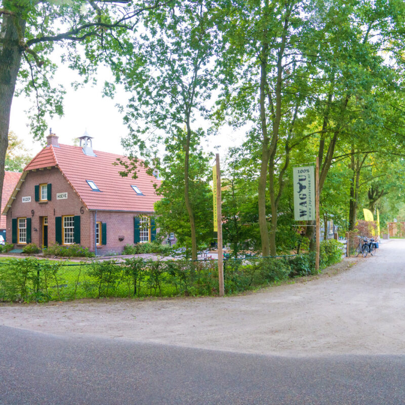 De Rozephoeve - Noord-Brabant - Open Camping Dag