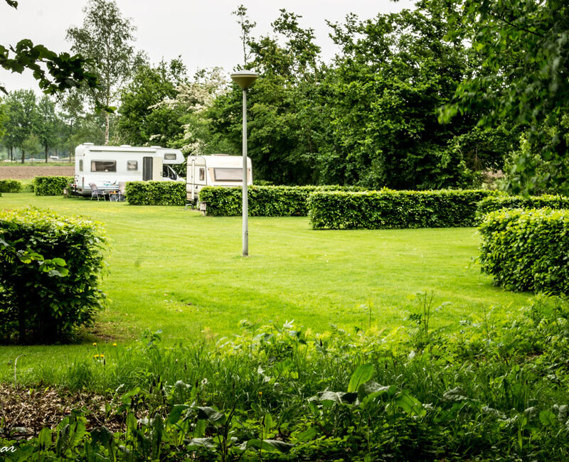 Minicamping Erve Mölman - Overijssel - Open Camping Dag