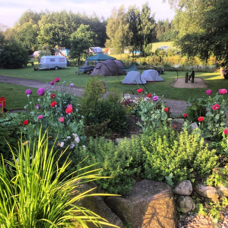 Gyvelborg Økocamping-Gårdbutik - Denemarken - Open Camping Dag