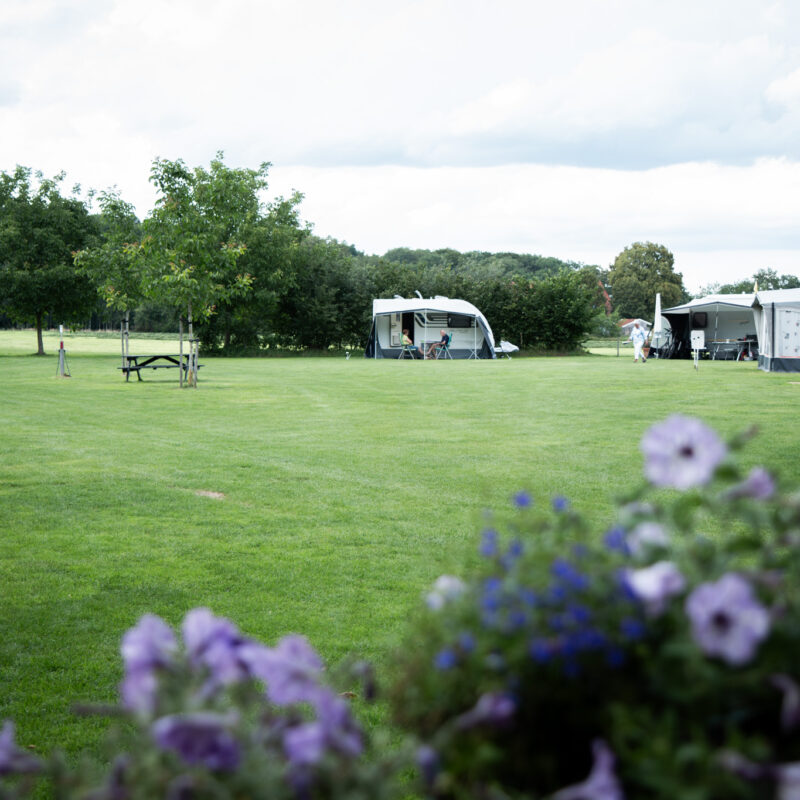 Camping De Dam - Overijssel - Open Camping Dag