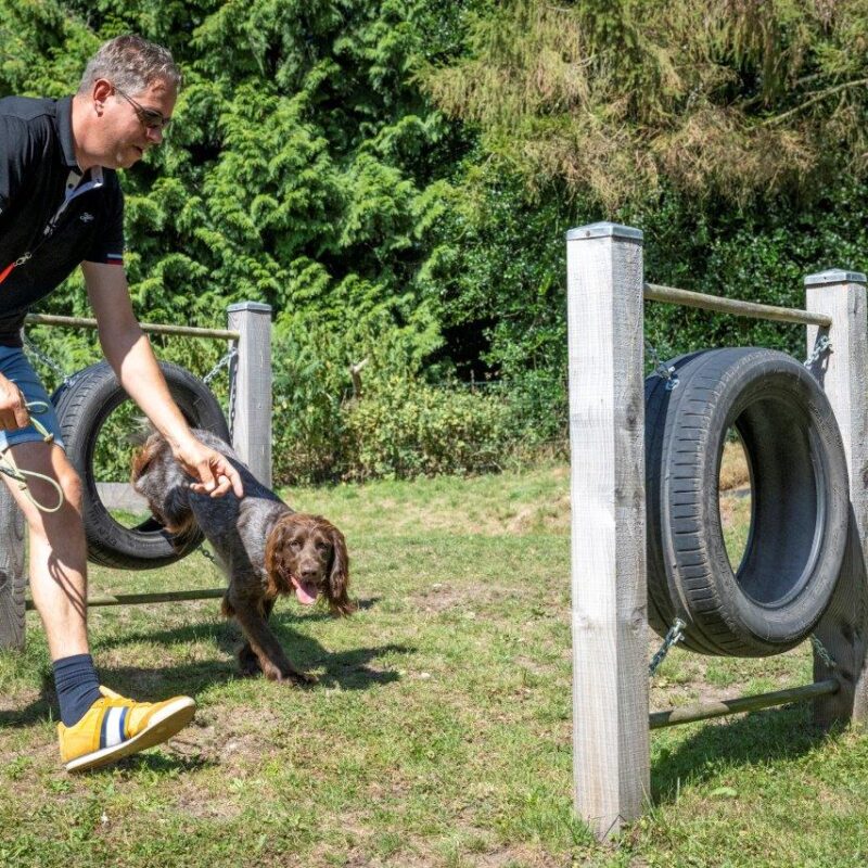 Veluwecamping 't Schinkel - Gelderland - Open Camping Dag