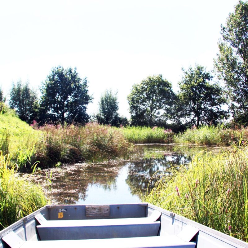 Park NieuwGrapendaal