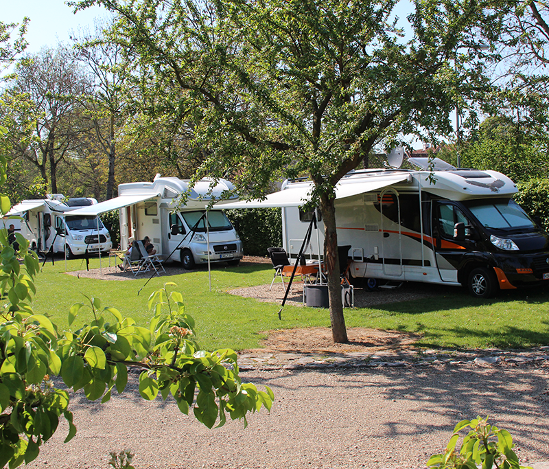 De Sangershoeve - Limburg - Open Camping Dag
