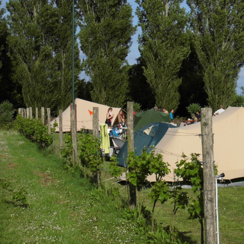 Park NieuwGrapendaal - Gelderland - Open Camping Dag