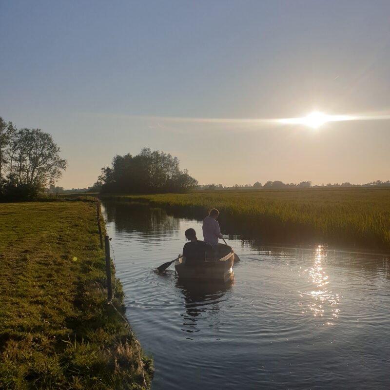 Minicamping Kastanjehoeve.go - Zuid-Holland - Open Camping Dag