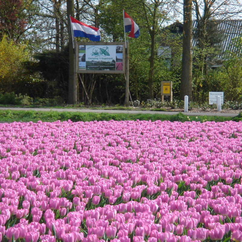 Camping 't Vogelnest - Zuid-Holland - Open Camping Dag