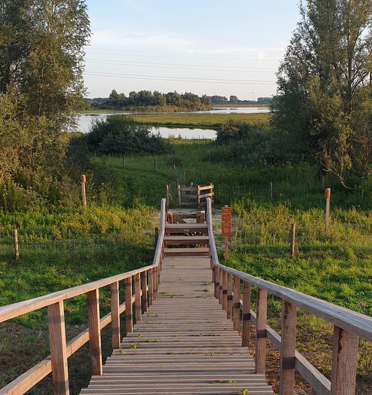 Minicamping Kastanjehoeve.go - Zuid-Holland - Open Camping Dag