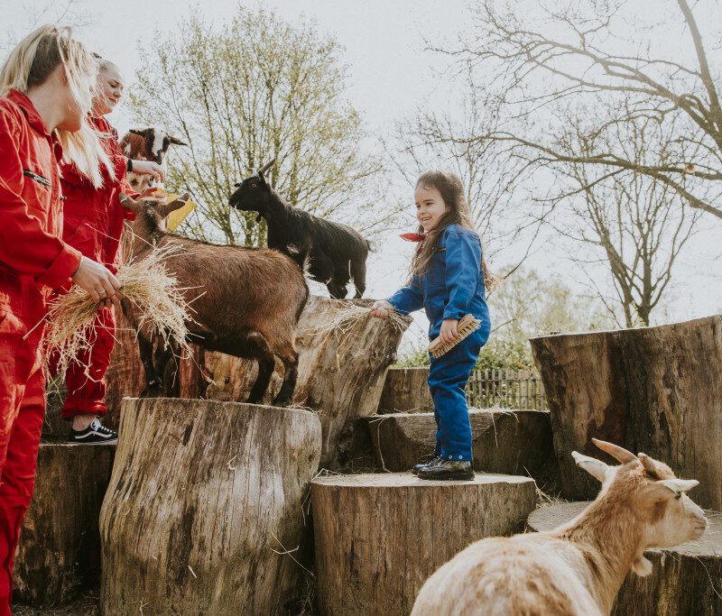 Vakantiepark Dierenbos - Noord-Brabant - Open Camping Dag