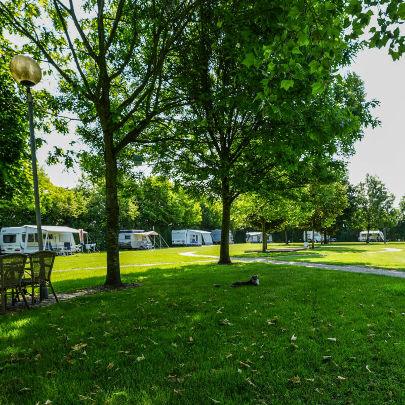 Camping Boerenbont - Groningen - Open Camping Dag