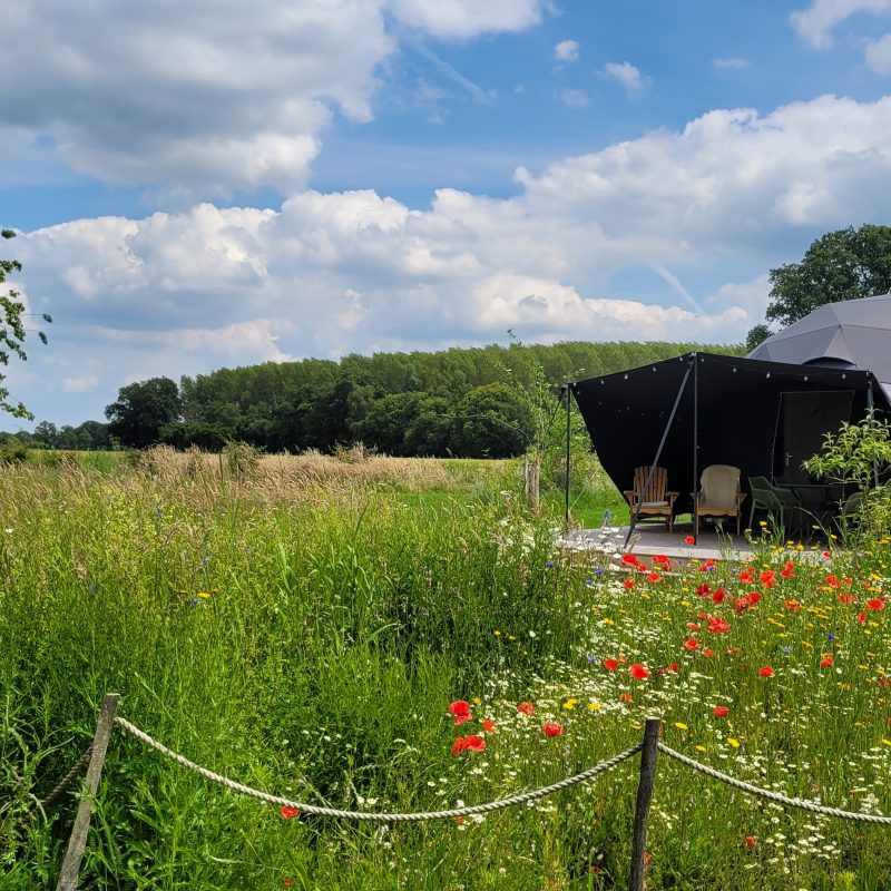 Camping Schoneveld