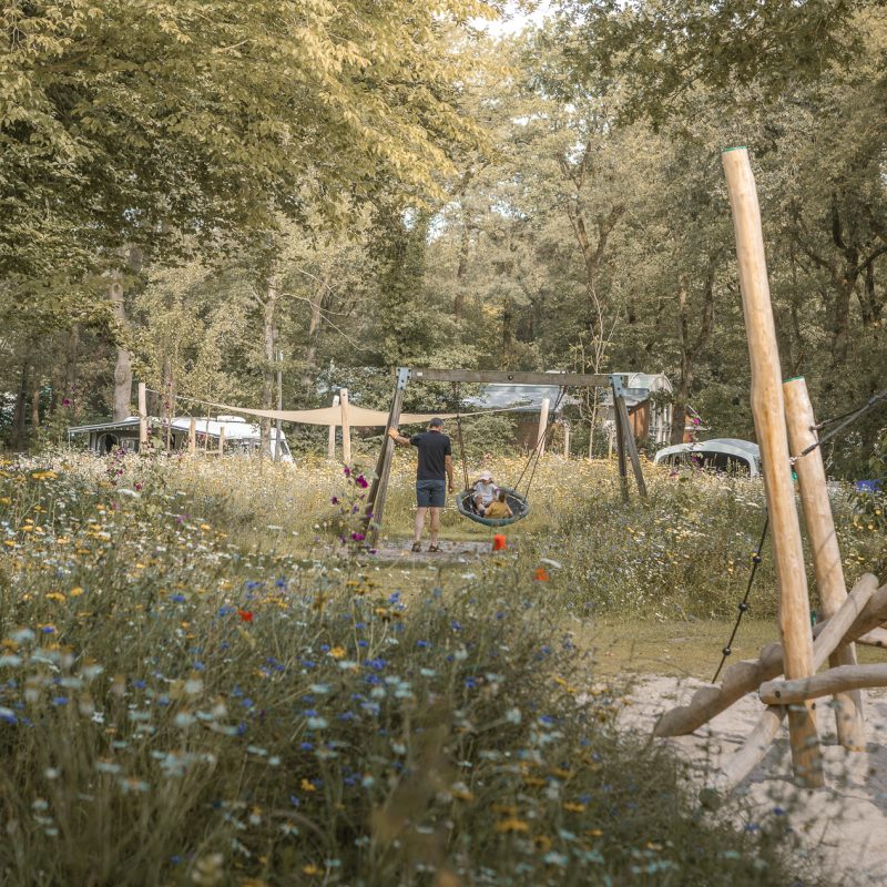 De Lemeler Esch Natuurcamping