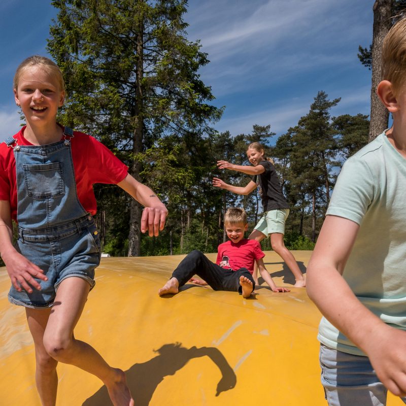 Camping Diana Heide - Drenthe - Open Camping Dag