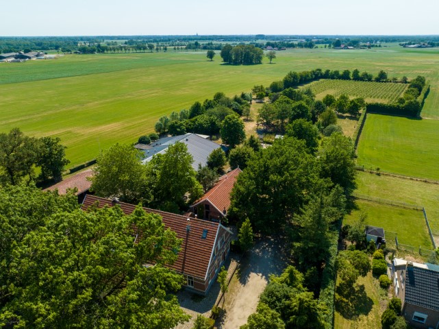 Wijndomein Erve Wisselink