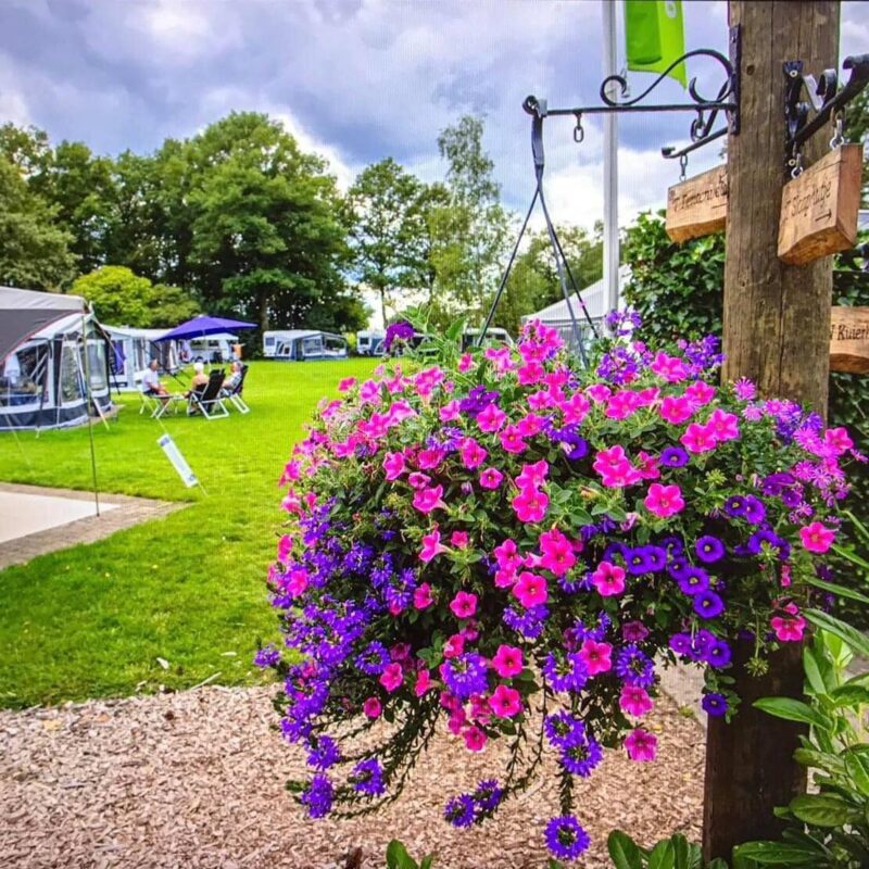 Camping De Veldscholte - Overijssel - Open Camping Dag