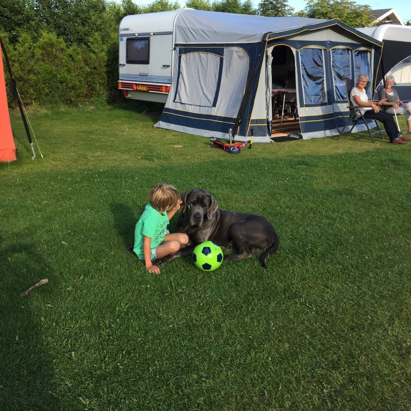 Sleutel-Hoeve - Noord-Holland - Open Camping Dag