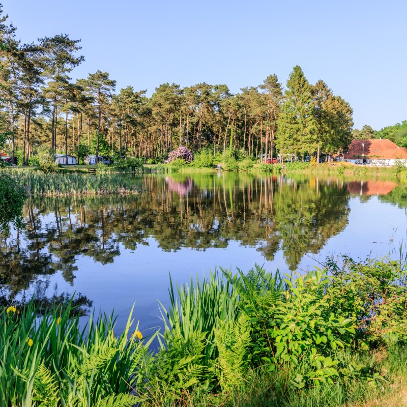 Camping Diana Heide