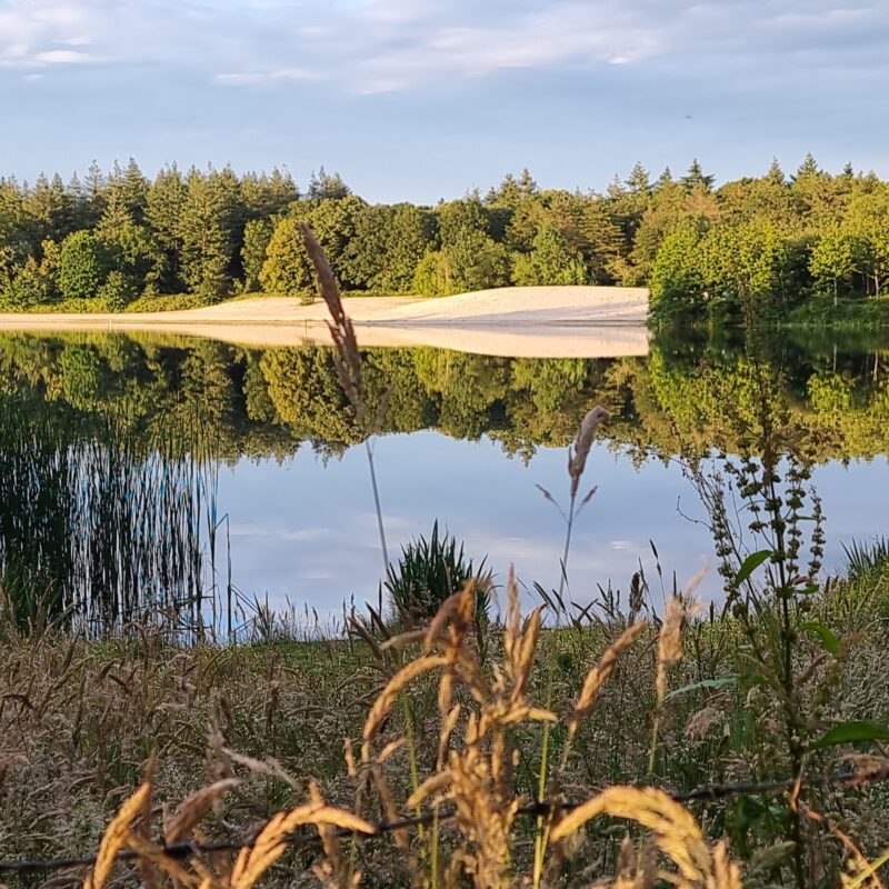 Camping Schaartven - Noord-Brabant - Open Camping Dag